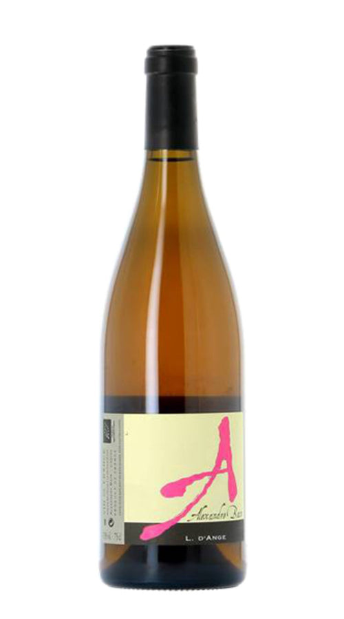 L. D'Ange 19' Alexandre Bain