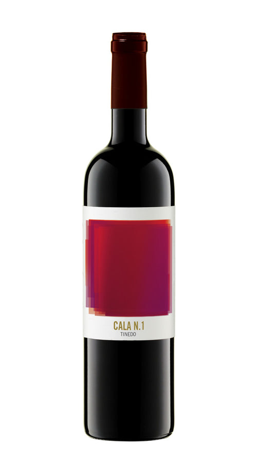 CALA N° 1' Tinedo 2019
