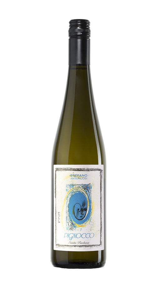 Verdicchio dei Castelli di Jesi 'Pignocco' Santa Barbara 2022