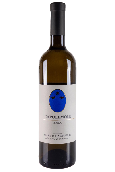 Capolemole Bianco 2023 Marco Carpineti