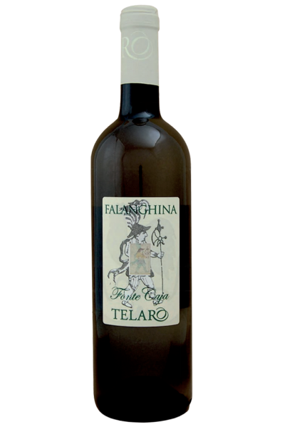 Falanghina Fonte Caja 2022 Telaro