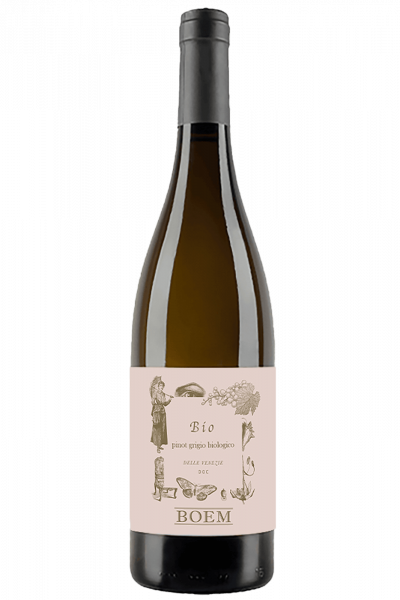 Trentino DOC Pinot Grigio Bio 2022 Boem