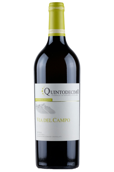 Irpinia DOC Falanghina Via Del Campo 2022 Quintodecimo