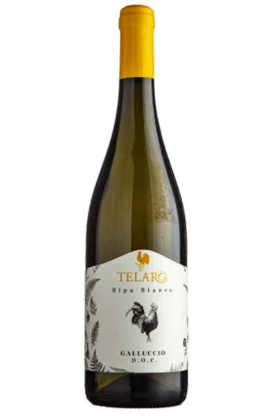 Galluccio DOC Ripa Bianca 2022 Telaro