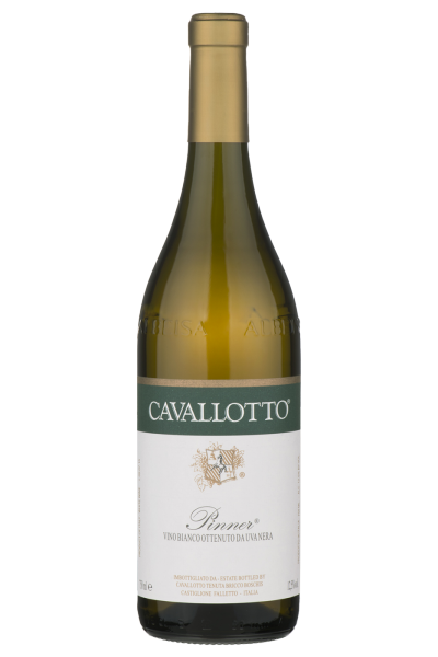 Pinner 2021 Cavallotto
