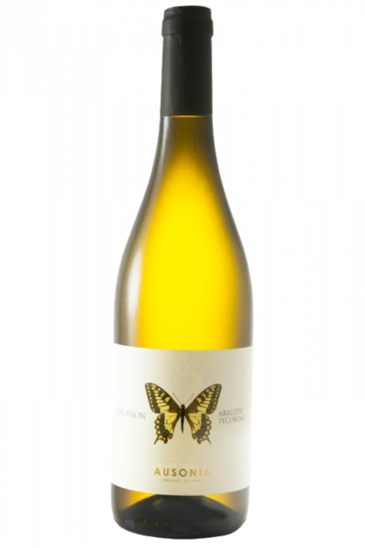 Abruzzo Pecorino DOP Machaon 2021 Ausonia
