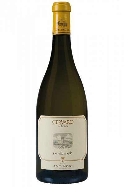 Cervaro della Sala 2019 Antinori