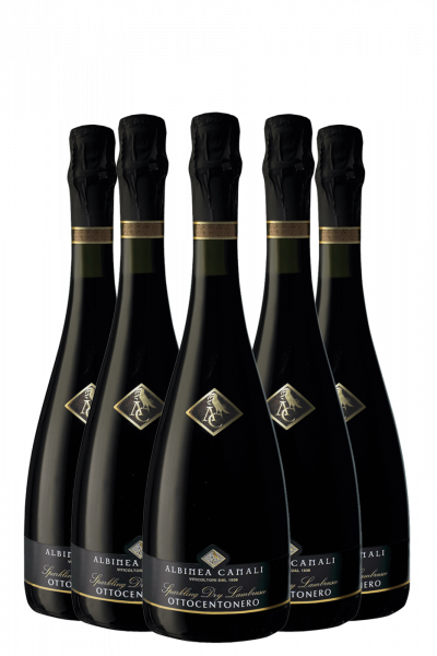 6 Bottiglie Lambrusco Ottocentonero 2018 Albinea Canali