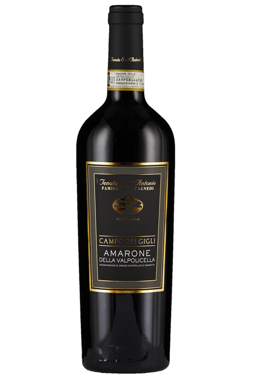Amarone della Valpolicella Campo dei Gigli
