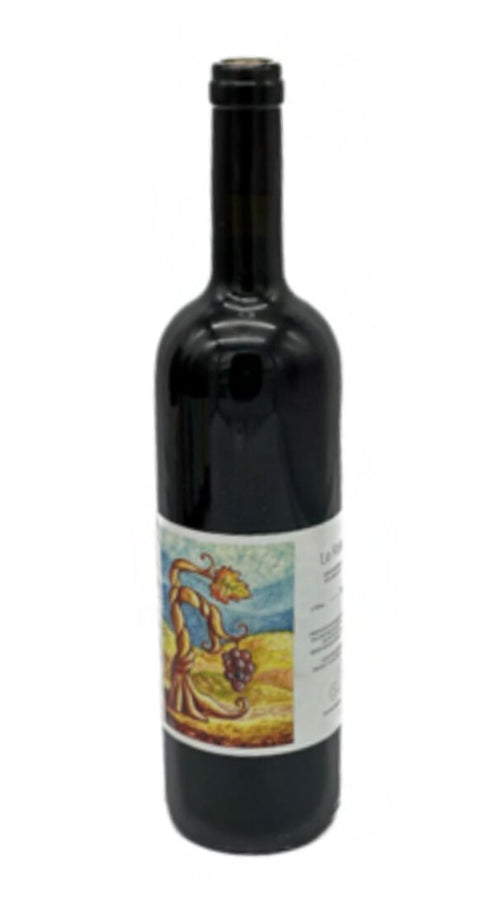 Aglianico 'Le Fole' Cantina Giardino 2020
