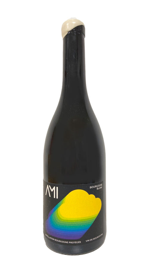 Bourgogne Blanc 'Neige de Printemps' Domaine Ami 2022