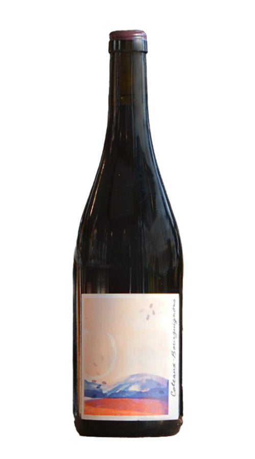 Coteaux Bourguignons La Chaume Des Lies 2022