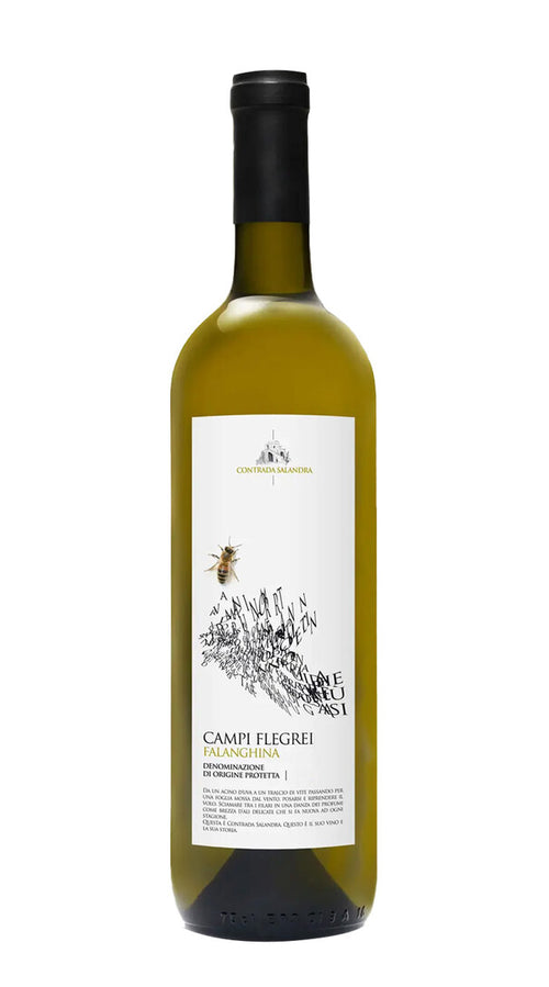 Falanghina Campi Flegrei Contrada Salandra 2019