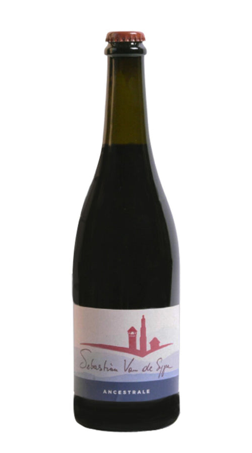 Lambrusco dell'Emilia Ancestrale Van de Sype 2021