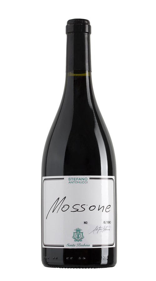 Mossone' Santa Barbara 2020