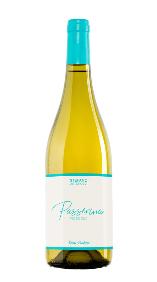 Passerina Santa Barbara 2022