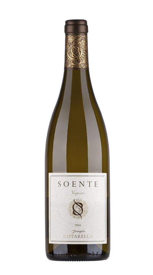 Soente' Falesco - Famiglia Cotarella 2022