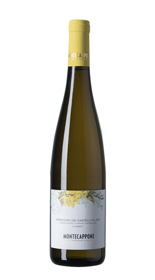 Verdicchio dei Castelli di Jesi Classico Montecappone 2022