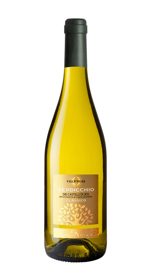 Verdicchio dei Castelli di Jesi Classico 'Villa Angela' Velenosi 2023