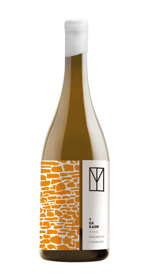 Vernatxa Orange 'Ashut' Terra00 2022